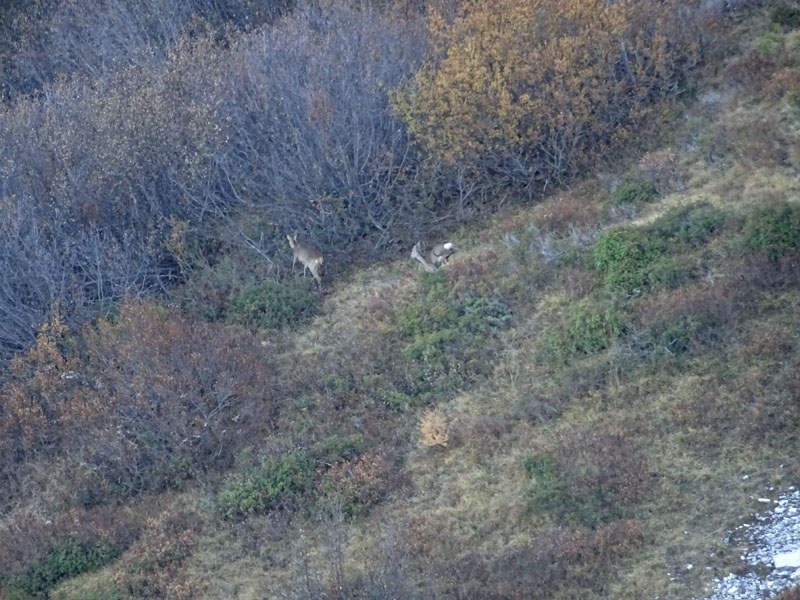 Col Santo m. 2112 - Gruppo del Pasubio